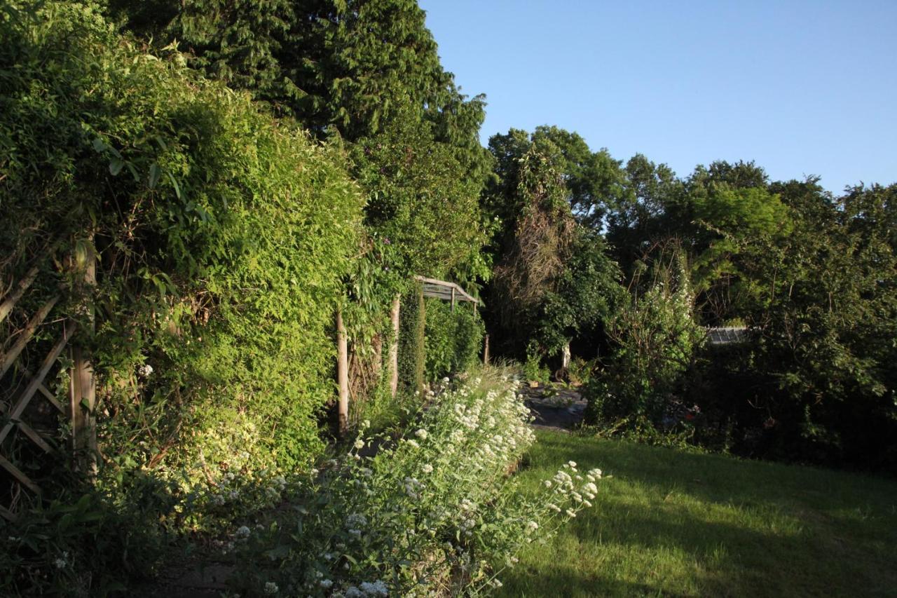 Spacious Home In Bath, Nature And City! Exterior foto